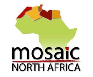 Mosaic North Africa Logo