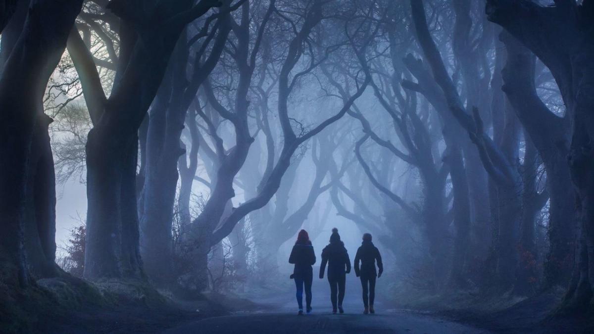 New Tours: Game of Thrones Tours from Belfast