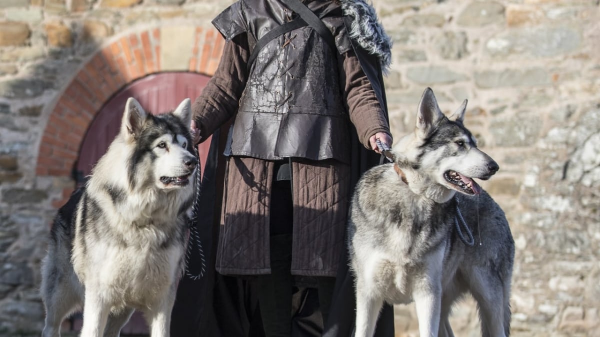 Game of Thrones-Spaziergang in Dubrovnik
