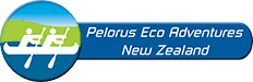 Pelorus Eco Adventures Logo