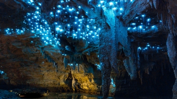 Waitomo-Höhlen und Hobbingen Filmset Privattour ab Auckland