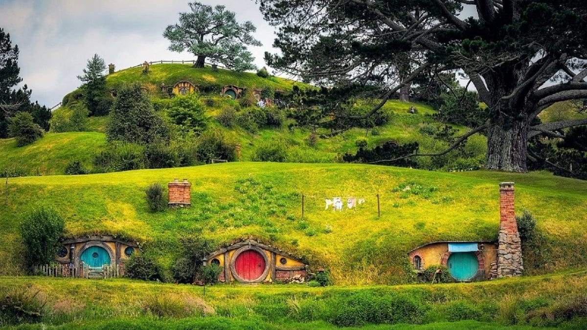 Rotorua to Auckland via Hobbiton Movie Set – One Way