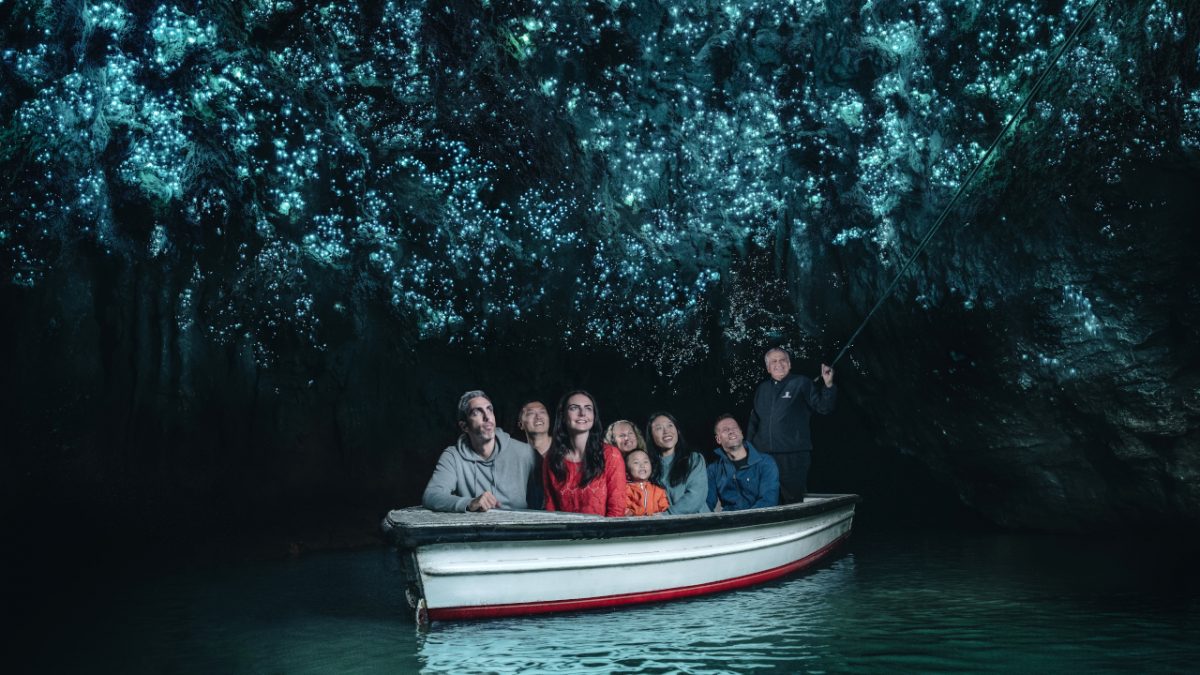 Hobbingen Filmset und Waitomo Glühwürmchen-Höhlen ab Auckland